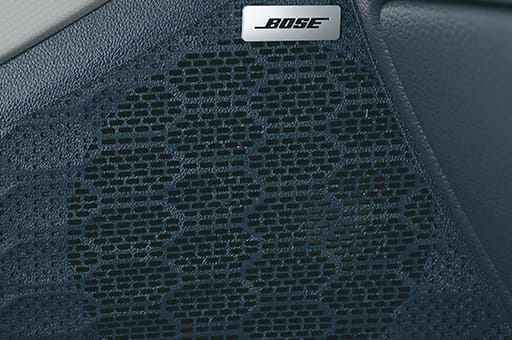 Bose audio